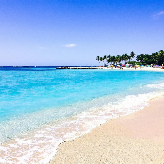 Bbw Beautiful Day (Type)