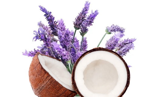 Coconut & Lavanda