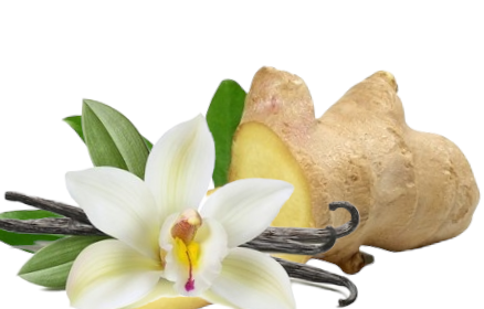 Ginger Vanilla